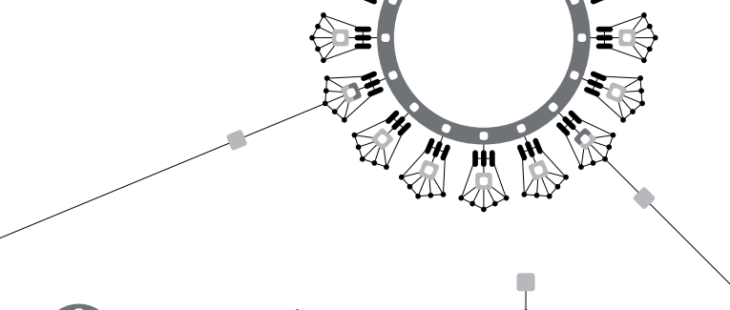 Was ist POLKADOT? - DOT Token - Analyse & Potential