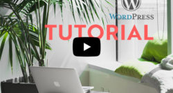 WordPress Tutorial: Schritt für Schritt – Webseite mit Elementor aufbauen